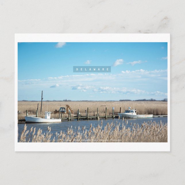 Lantlig och vild Delaware. Vykort (Framsida)