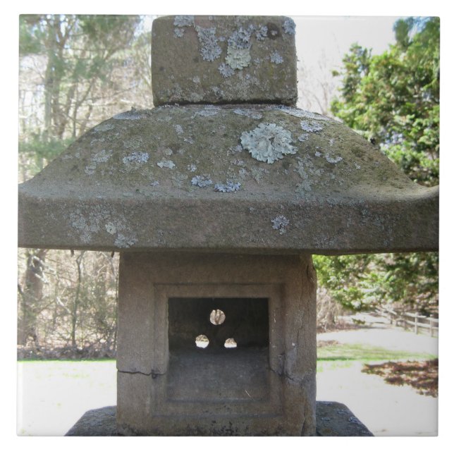 Lantlig riden ut stenlykta kakelplatta (Framsidan)