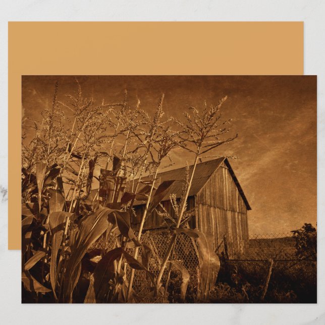 Lantlig rustik ladugård Vintagebrun gårdstextur (Fram/baksida)