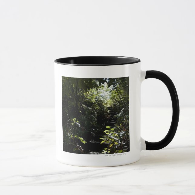 Lantlig trappuppgång/vandringsled i skogen, mugg (Höger)