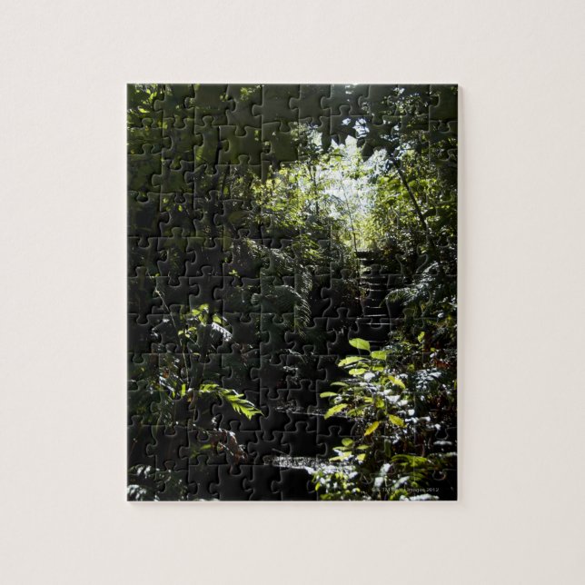 Lantlig trappuppgång/vandringsled i skogen, pussel (Vertikal)