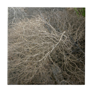 Lantlig Tumbleweed Kakelplatta