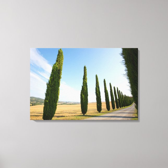 Lantlig väg med träd, Tuscany Canvastryck (Framsida)
