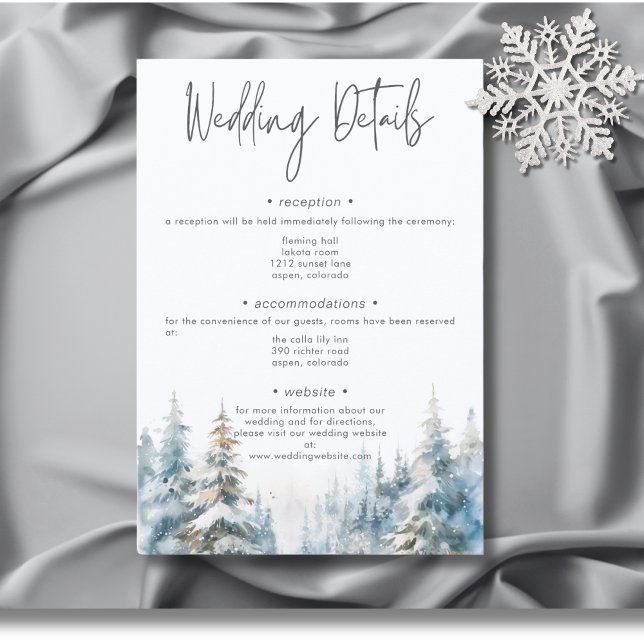 Lantlig vinterscen i bergen, akvarelldetaljer tilläggskort (Rustic Mountain Winter Scene Watercolor Wedding Details Enclosure Card)