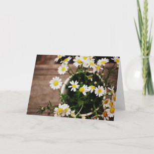 Lantliga Daisies i en vas Kort