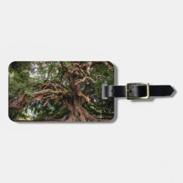 Lantligt gammalt olivgrönt träd bagagebricka