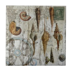 lantligt kalkat kust- chic snäckskal kakelplatta