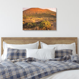 Lanzarote vulkaniska vingård och kaldera vid solne canvastryck