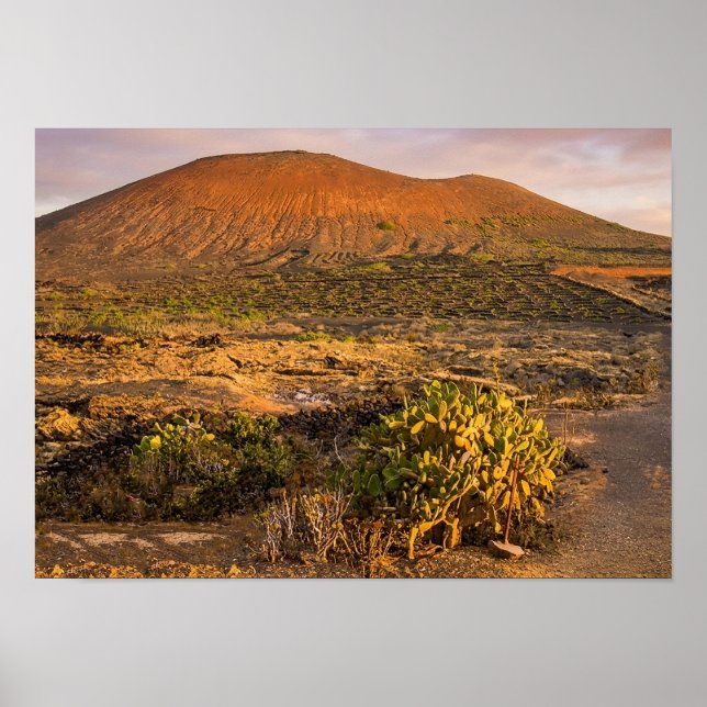 Lanzarote vulkaniska vingård och kaldera vid solne poster (Framsidan)