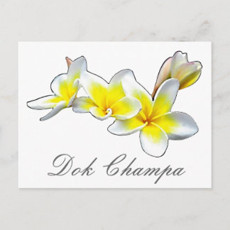 LAO FLOWER DOK CHAMPA - PLUMERIA RUBRA VYKORT