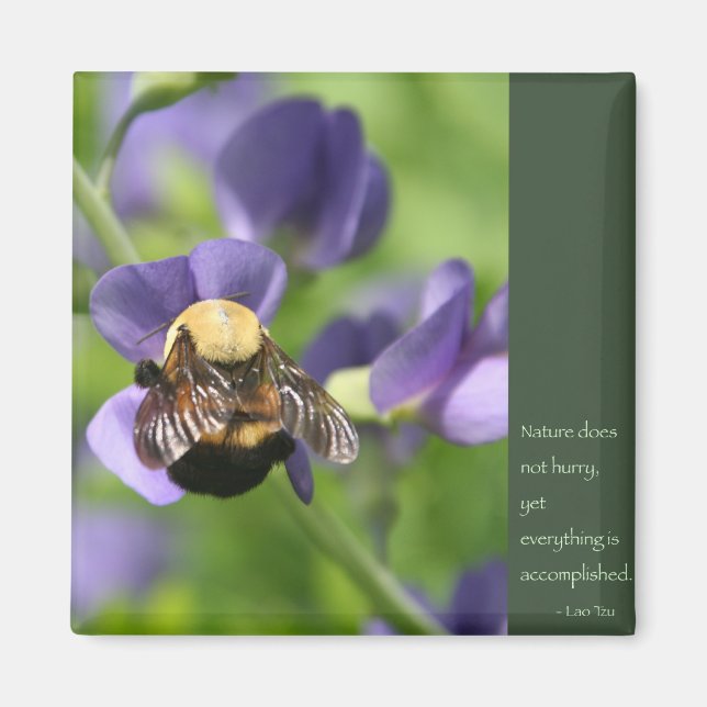 Lao Tzu Ord of Wisdom Magnet (Framsidan)