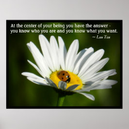Lao Tzu Quote inspiration Motivation Ladybug Daisy Poster