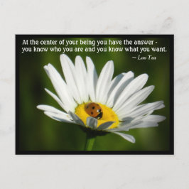 Lao Tzu Quote Ladybird Daisy Inspiring Motivation Vykort
