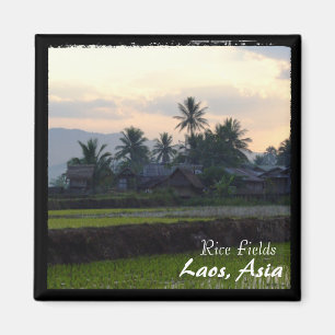 Laos, Solnedgång ovanför ris (Magnet) Magnet