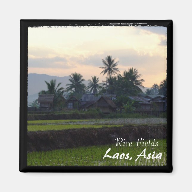 Laos, Solnedgång ovanför ris (Magnet) Magnet (Framsidan)