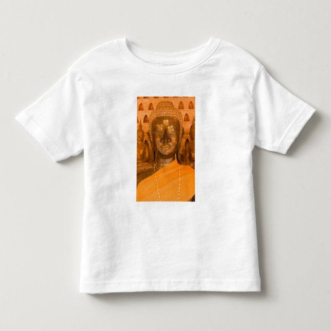 Laos, Vientiane, en av 6840 Buddhabilder i 2 T-shirt (Framsida)