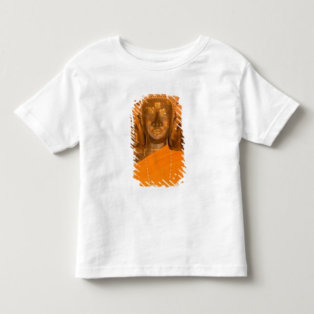 Laos, Vientiane, en av 6840 Buddhabilder i T-shirt (Framsida)