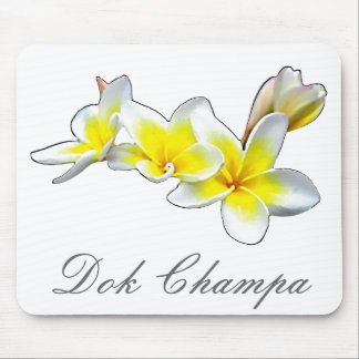 LAOTISK BLOMMA DOK CHAMPA - PLUMERIA RUBRA MUSMATTA