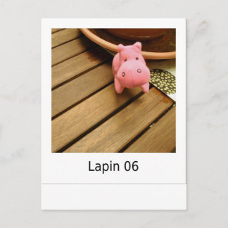 Lapin 06 vykort