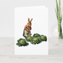 Lapine aux choux kort