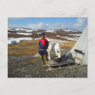 Lapland, Sámi settlement with tent and cow Vykort