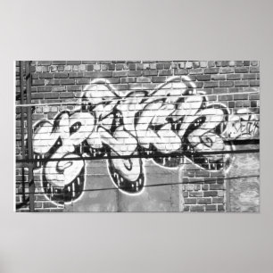 Lapp Poster