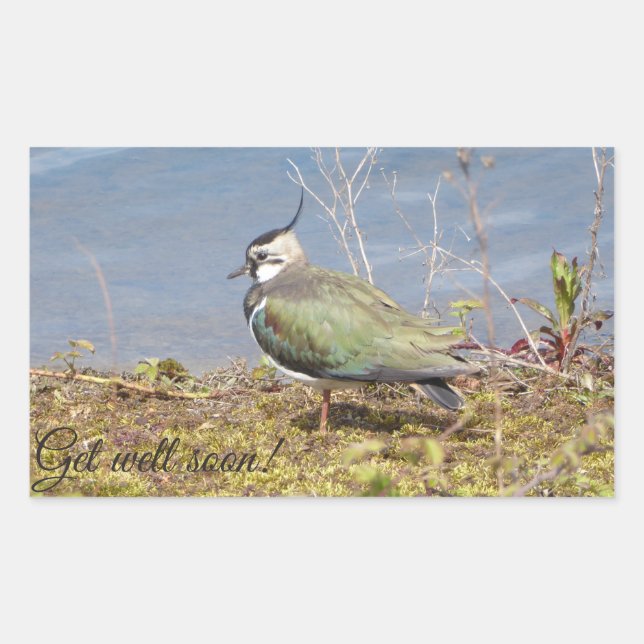 Lappande hondjur rektangulärt klistermärke (Framsida)