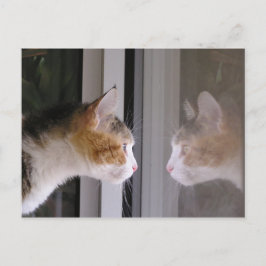 Lappar Meddelande Vykort