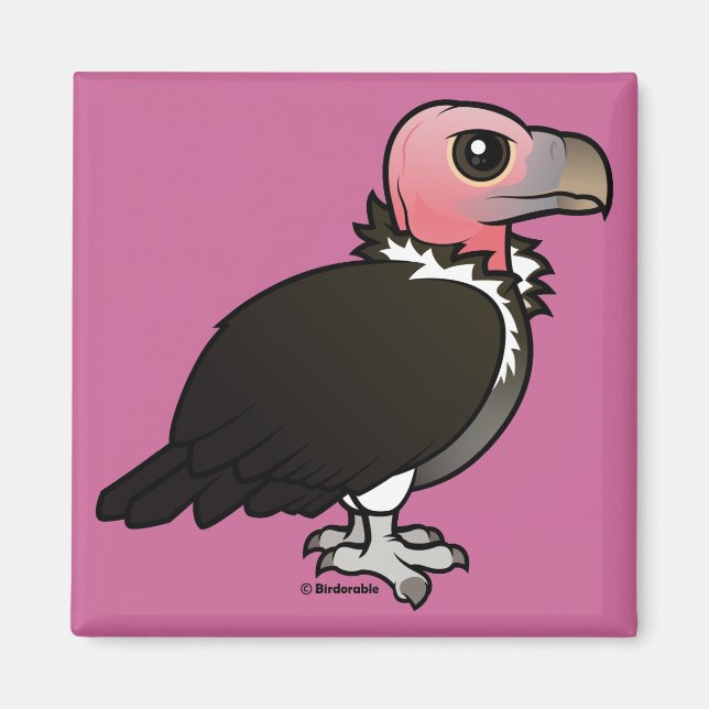 Lappetbelagd vultur magnet (Framsidan)