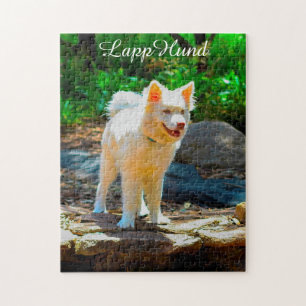 Lapphund Hund. Pussel