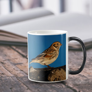Lappland Longspur på en solupplyst logg Magisk Mugg