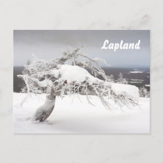 Lappland souvenir-vykort vykort
