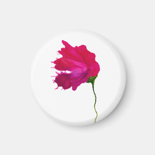 Läppstiftblom Magnet