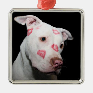 Läppstiftkyssar av kärlek för den Pitbull hunde Julgransprydnad Metall