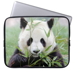 laptop sleeve Photo jätte panda, djur.