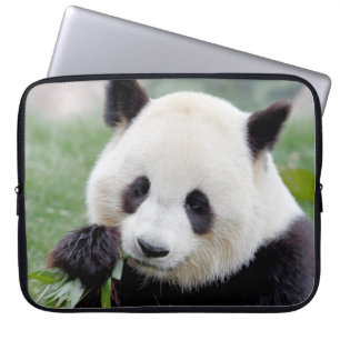 laptop sleeve Photo jätte panda, djur.