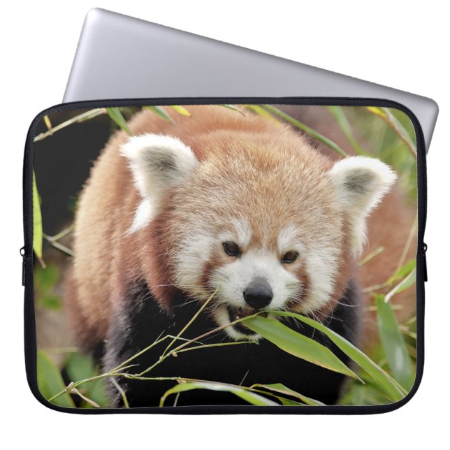 laptop sleeve Photo red panda, djur. (Framsidan)