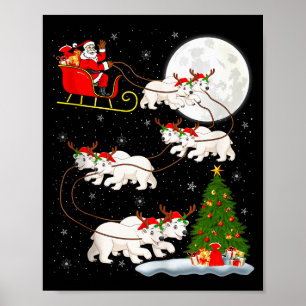 Lar Bear Tomte Släd Flygande Rolig Magisk Jul Poster
