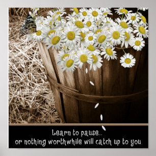 Lär dig att pausa poster