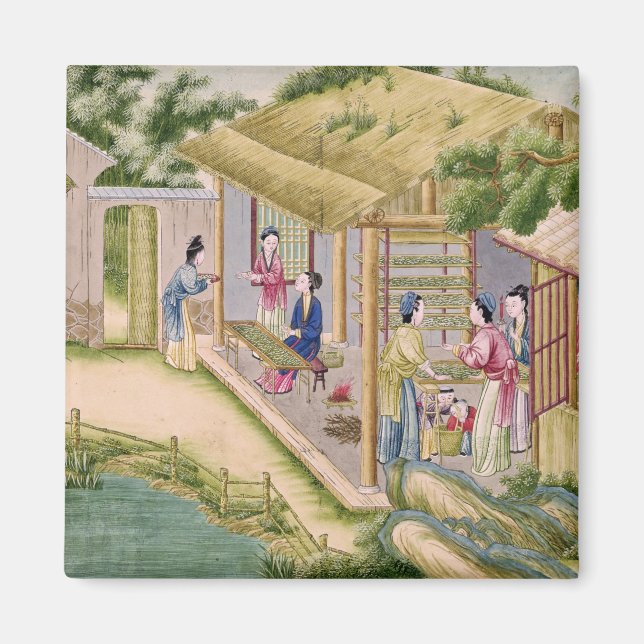 Lär dig om Silkworms Magnet (Framsidan)