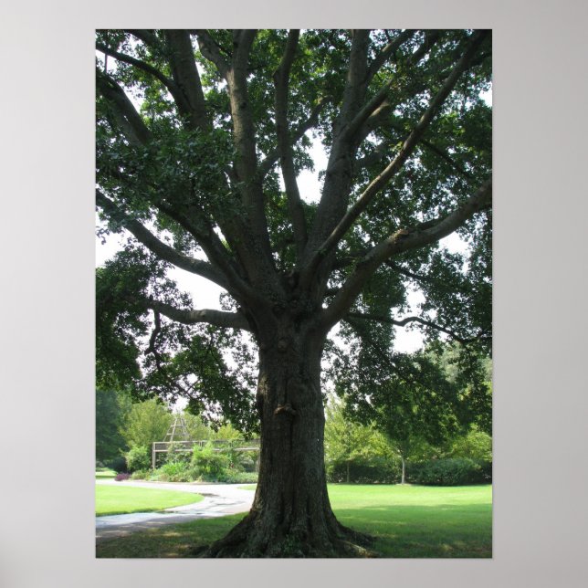 Lår Poster (Framsidan)