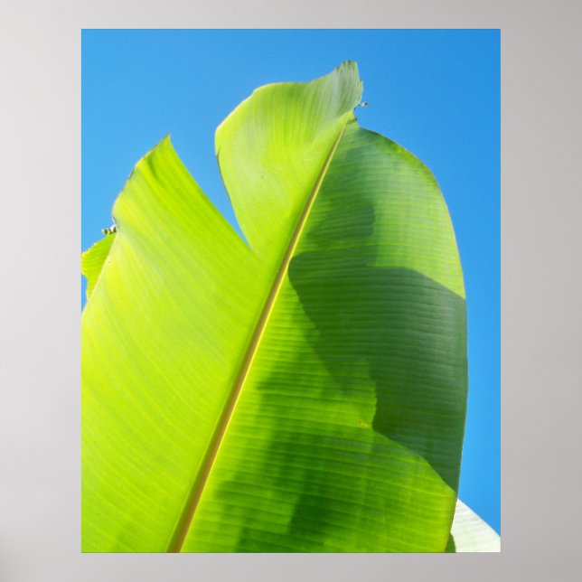 Lär till Sol Poster (Framsidan)