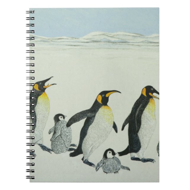 Lära buktar anteckningsbok med spiral (Framsidan)