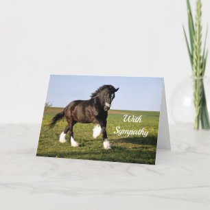 Lära Clydesdale-sympati Kort