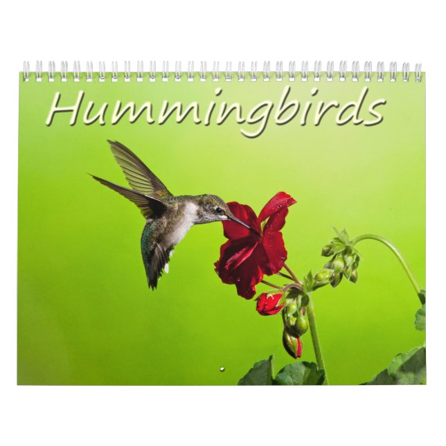 Lara Ellis fotografiHummingbirds Kalender (Omslag)