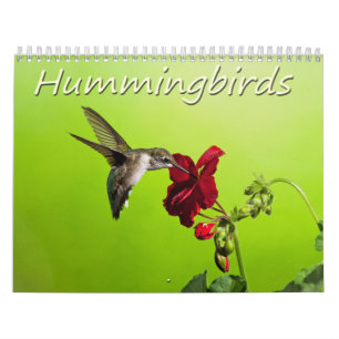 Lara Ellis fotografiHummingbirds Kalender