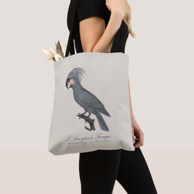 L'Ara gris à Trompe / Grått Handflatan Cockatoo Tygkasse (Närbild)