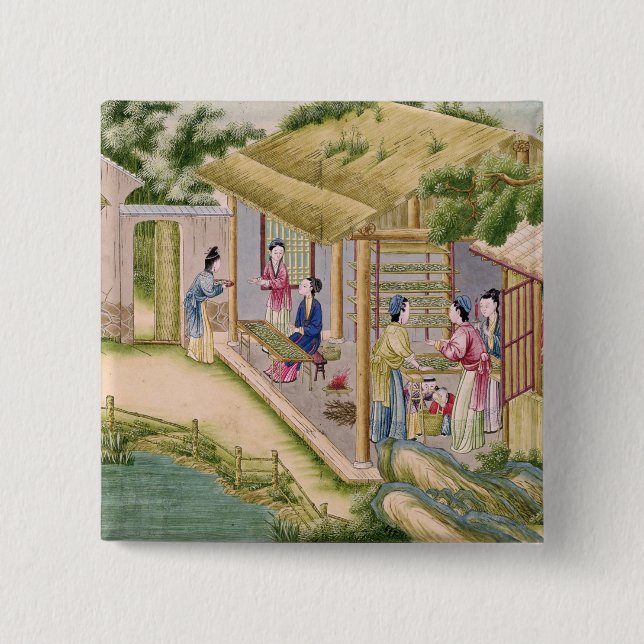 Lära om Silkworms Knapp (Framsida)