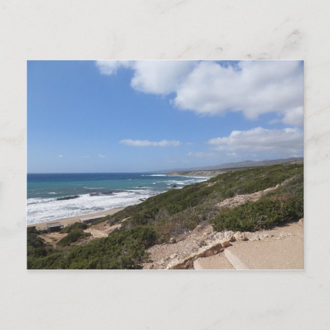 Lara strand, Paphos, Cypern Vykort (Framsida)