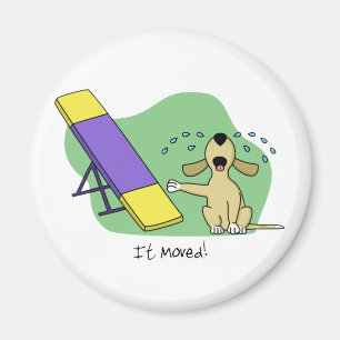 Lära Teeteragilityen Magnet